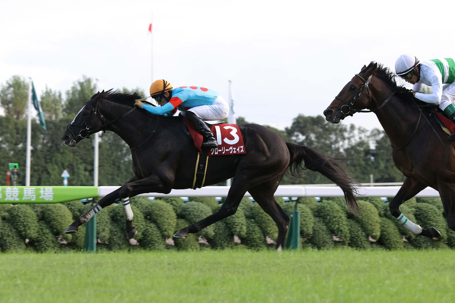 香港ヴァーズ勝ち馬グローリーヴェイズが最後方から追い込む菊花賞馬キセキの追撃を振り切った