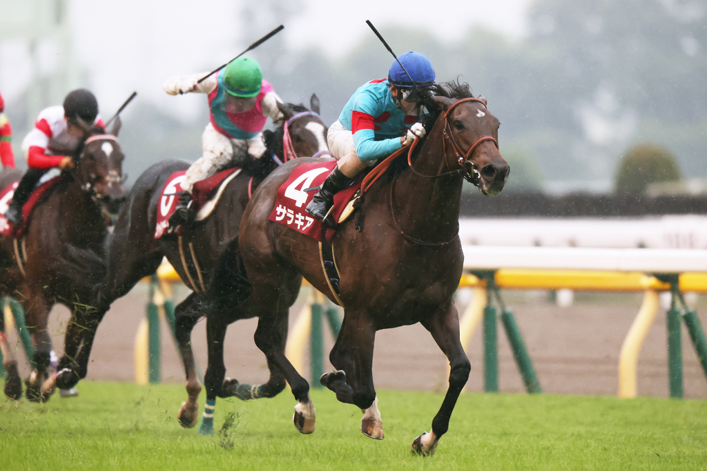 先週の弟サリオス同様、東京競馬場の1800ｍのＧⅡ重賞を３馬身差で優勝したサラキア