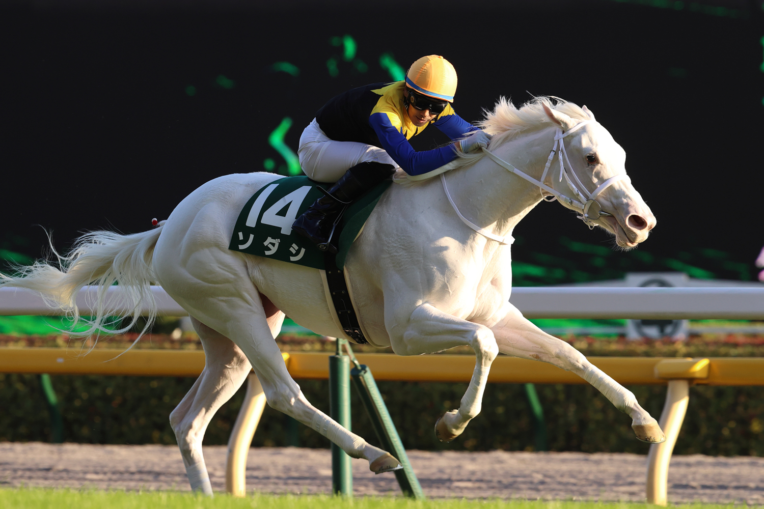 好スタートから２番手を追走したソダシが無傷の３連勝。クラシック有力候補に名乗りをあげた