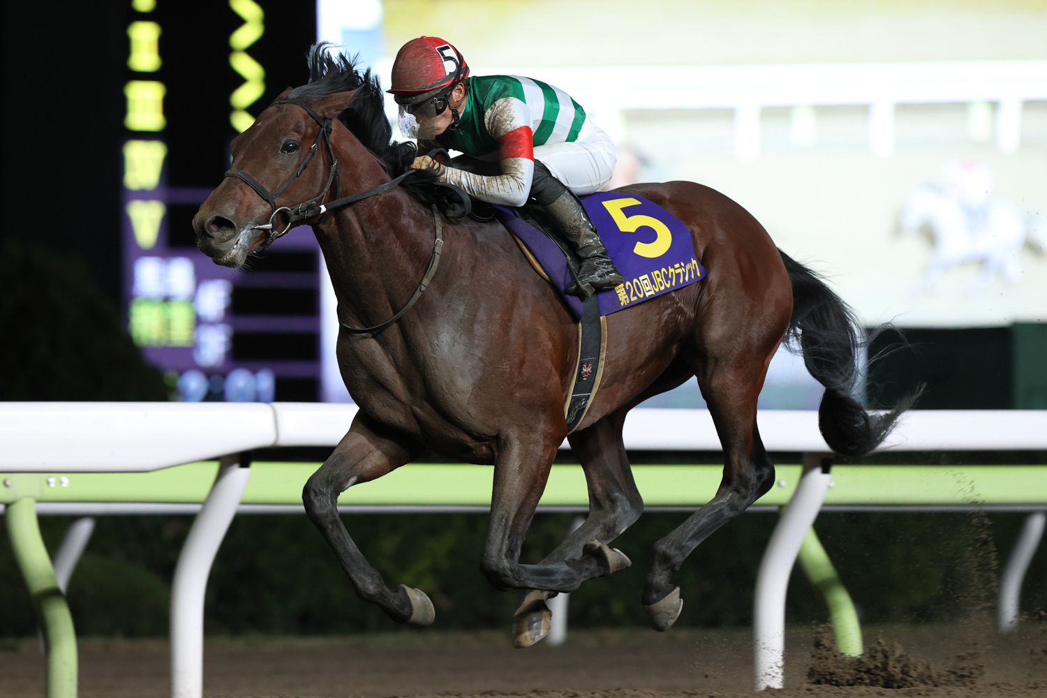国内のレースは無傷の８連勝。ＧⅠ(JpnⅠ)馬５頭を寄せつけない横綱相撲だった