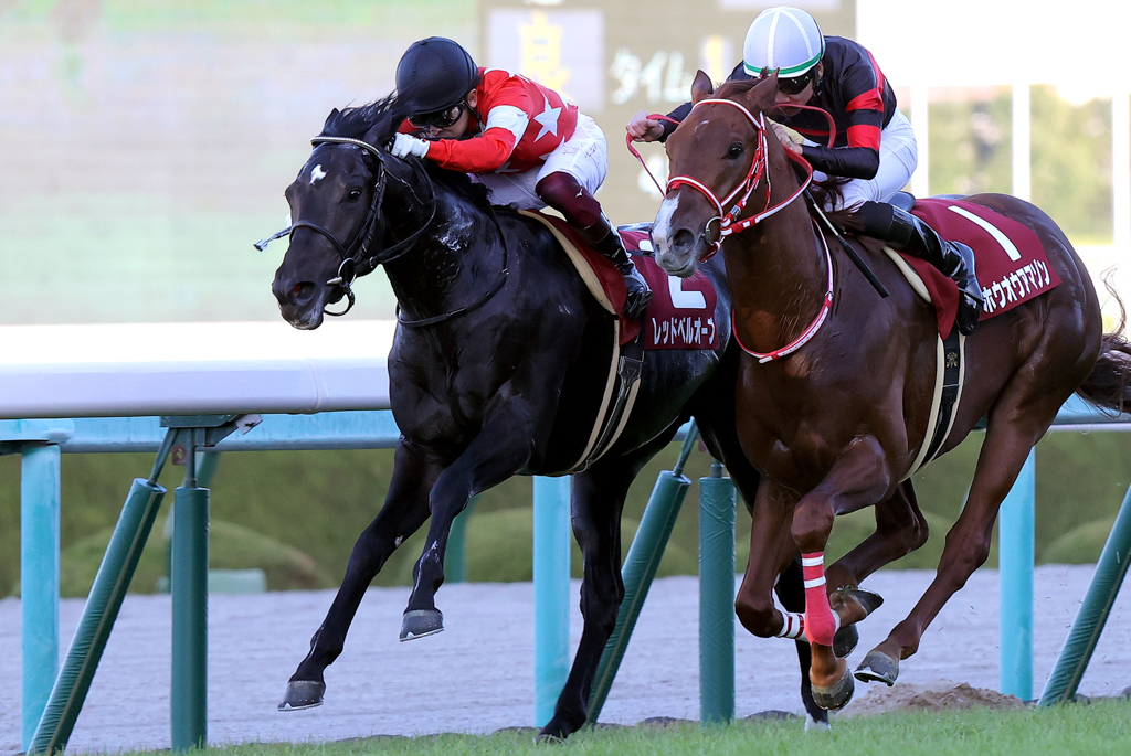 2019年の全兄レッドベルジュールに続き、レッドベルオーブもデイリー杯2歳Sを制覇