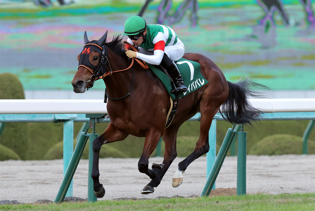 秋華賞を抽選の末除外となったレイパパレは、大原Ｓに続きチャレンジＣも快勝した