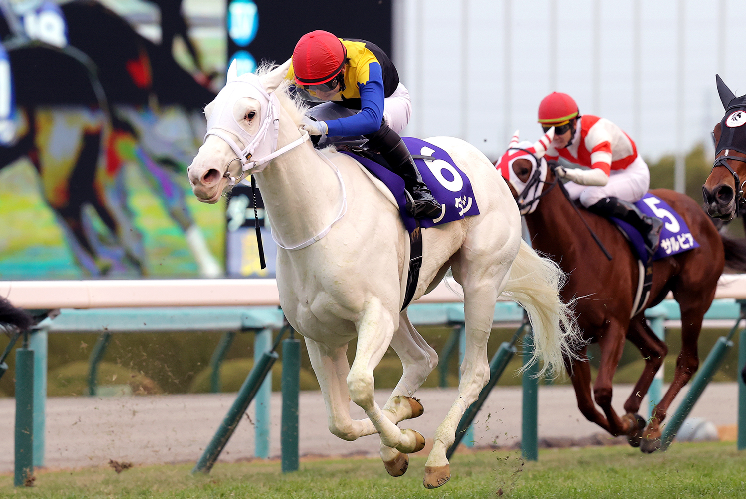 ソダシが接戦を制して１番人気に応え、翌年の牝馬クラシック最有力候補に躍り出た