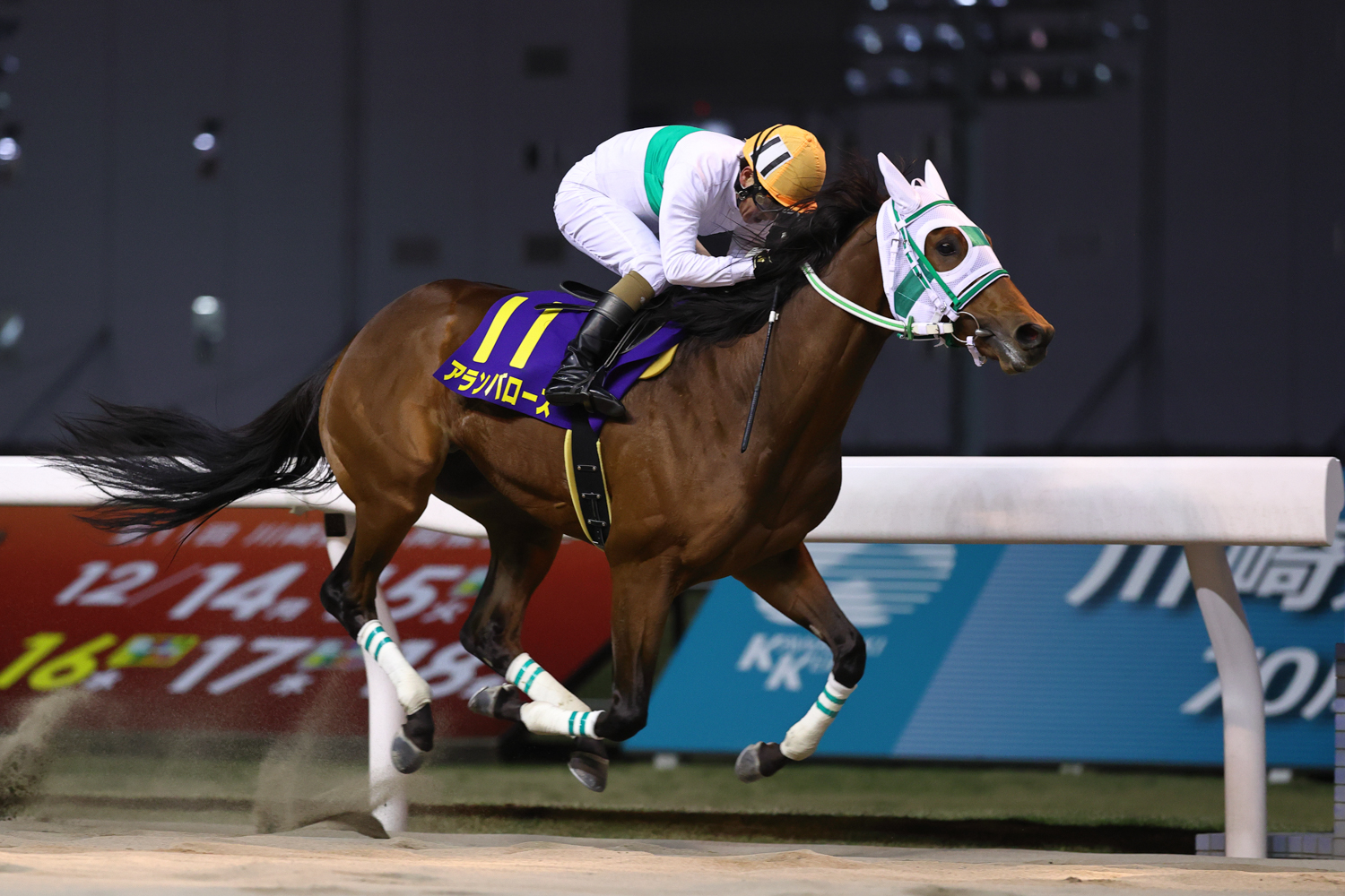 5馬身差の独走 ダート2歳チャンピオンは船橋のアランバローズ 第71回全日本2歳優駿 一般社団法人 東京馬主協会 5馬身差の独走 ダート2歳チャンピオンは船橋のアランバローズ 第71回全日本2歳優駿 一般社団法人 東京馬主協会
