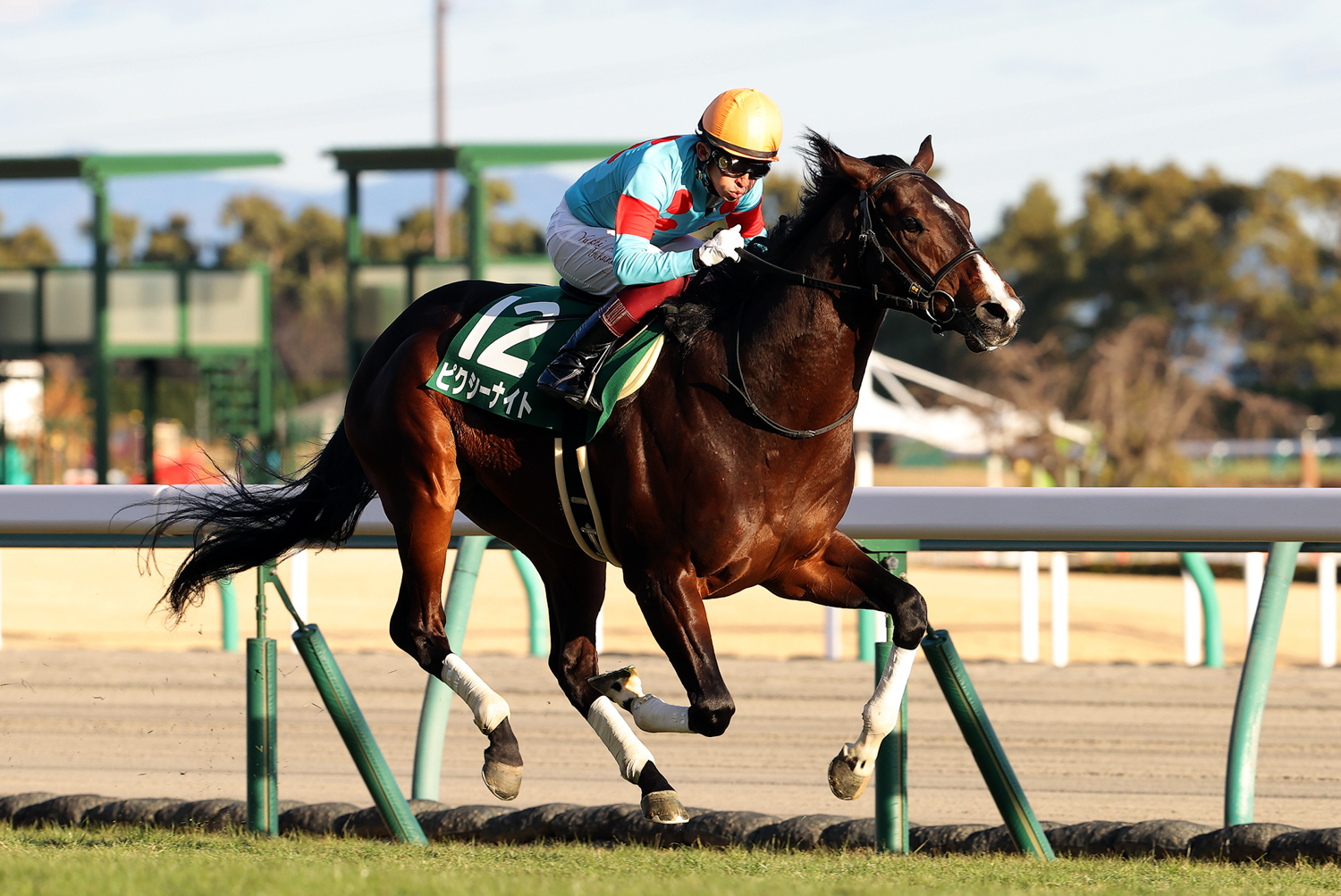 好スタートから鮮やかな逃げ切り ピクシーナイトが福永祐一騎手に節目の勝利をプレゼント 第55回シンザン記念 一般社団法人 東京馬主協会