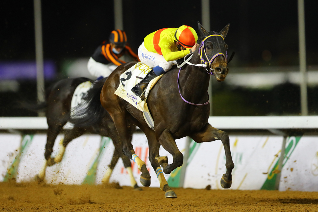 コパノキッキングが後方から追い込み、逃げ粘る前年２着の日本馬マテラスカイを1/4馬身差し切った