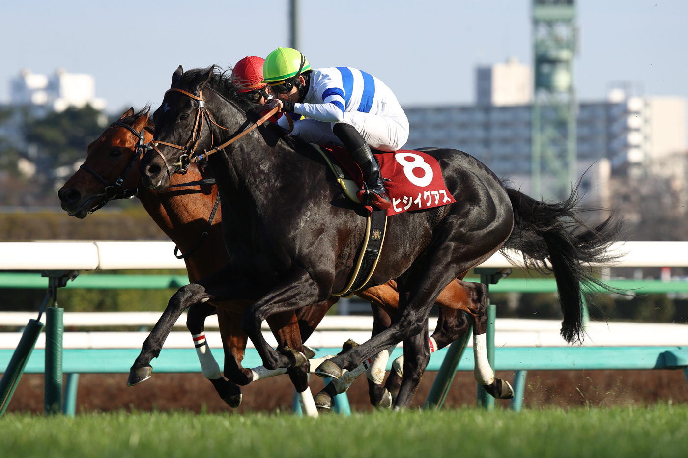 京都金杯勝ち馬ケイデンスコールにクビ差競り勝ち、ヒシイグアスが4連勝
