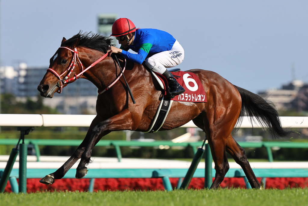 札幌2歳S3着、朝日杯FS4着、シンザン記念3着と惜敗が続いたバスラットレオンが念願の重賞初制覇