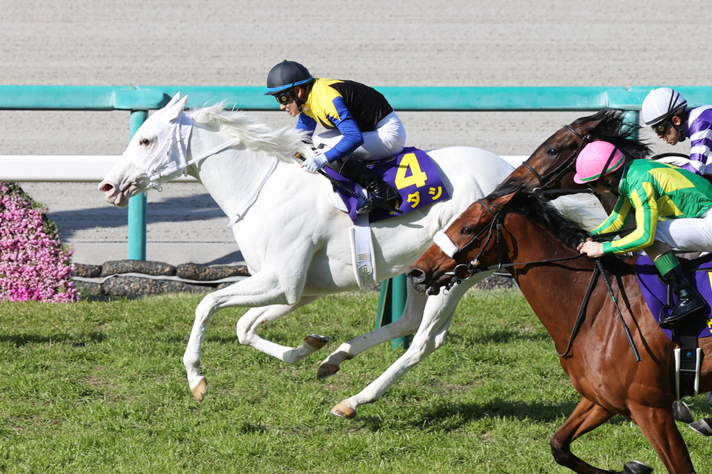 無敗での桜花賞制覇は史上８頭目。白毛馬初のクラシック出走で見事に桜の女王に輝いた