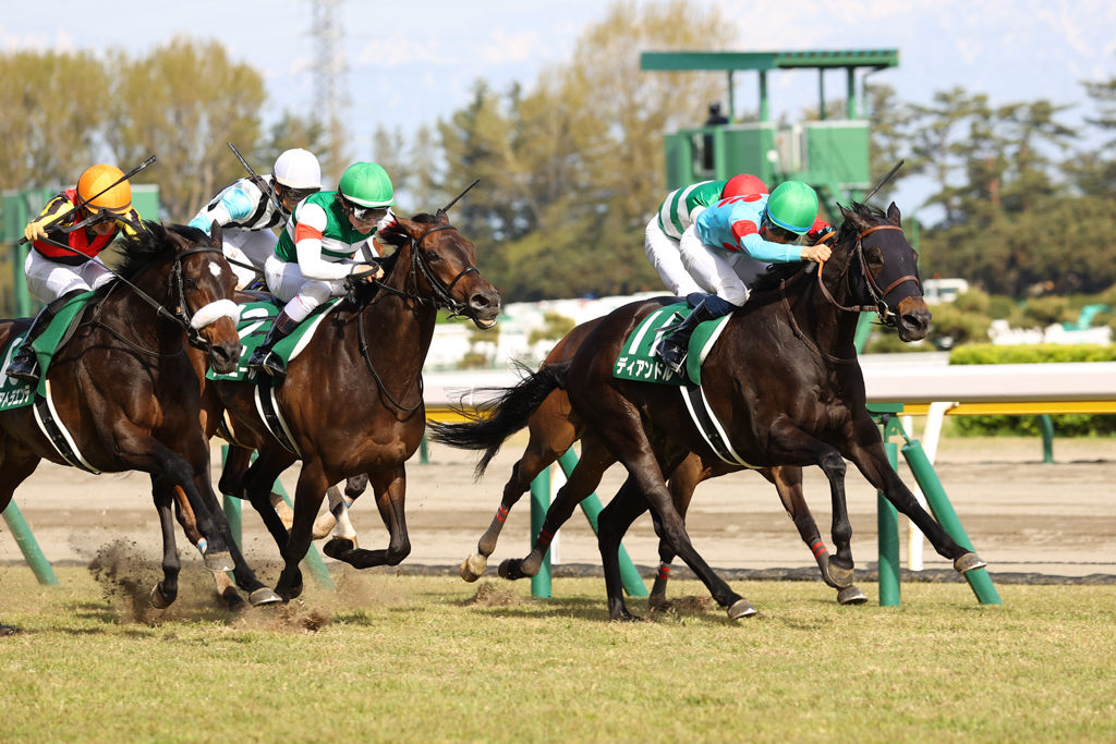 2、3歳時は芝1200m戦で大活躍したディアンドル。スタミナ強化が実り念願の中距離重賞制覇を果たした