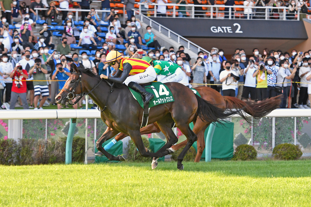 前年2着、前々年1着のライオンボスを差し切り、1番人気に応えたオールアットワンス