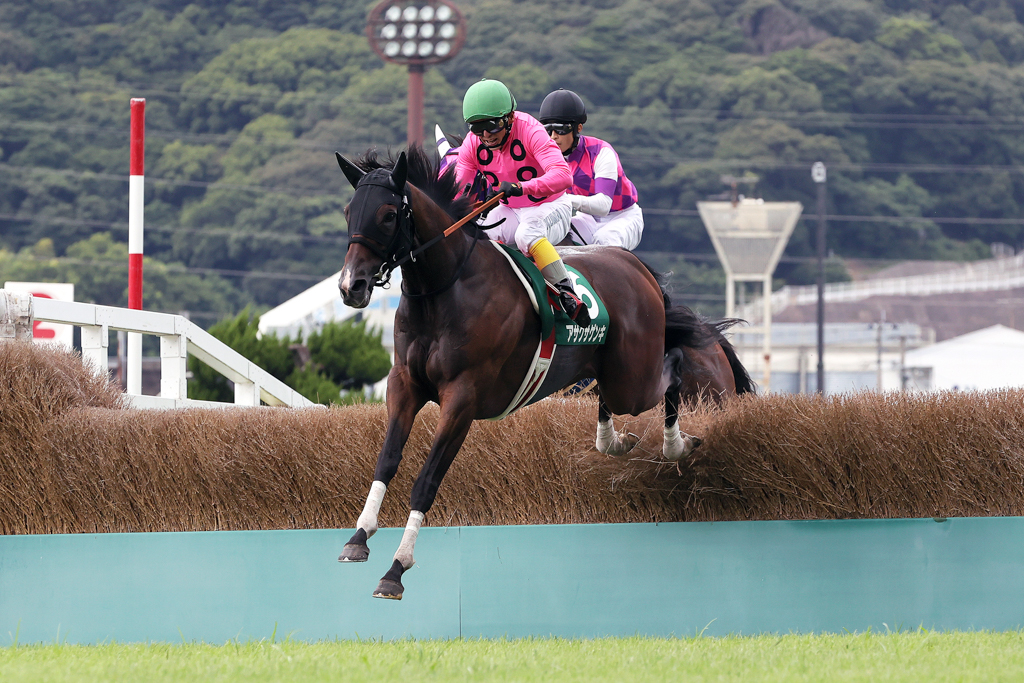 小倉2歳S1着、ファルコンS2着、京王杯2歳S3着など平地重賞でも活躍したアサクサゲンキが障害重賞初制覇