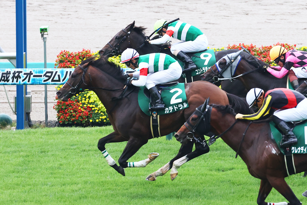 逃げ粘るコントラチェックを、馬群をさばいて鋭く伸びたカテドラルがゴール直前クビ差差し切った