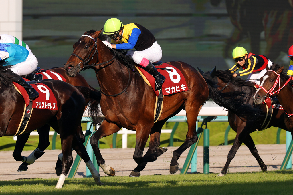 アリストテレス、キセキとの接戦をハナ差制したマカヒキ。2016年ニエル賞(仏Ｇ２)以来５年１カ月ぶりの勝利だった