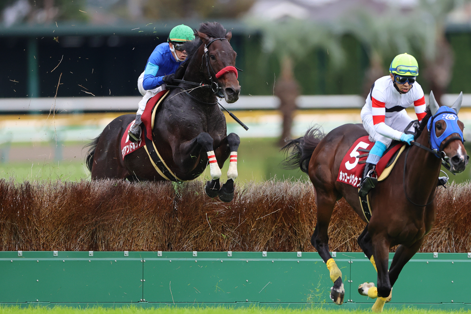 最終障害を２番手で飛越したラヴアンドポップが、逃げたホッコーメヴィウスをきっちりと差し切った