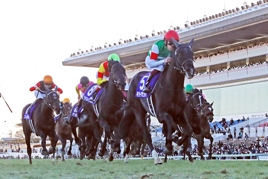 母はハリウッドスターレットS(米G1)勝ち馬キラーグレイシス。クラシックでの活躍が楽しみだ
