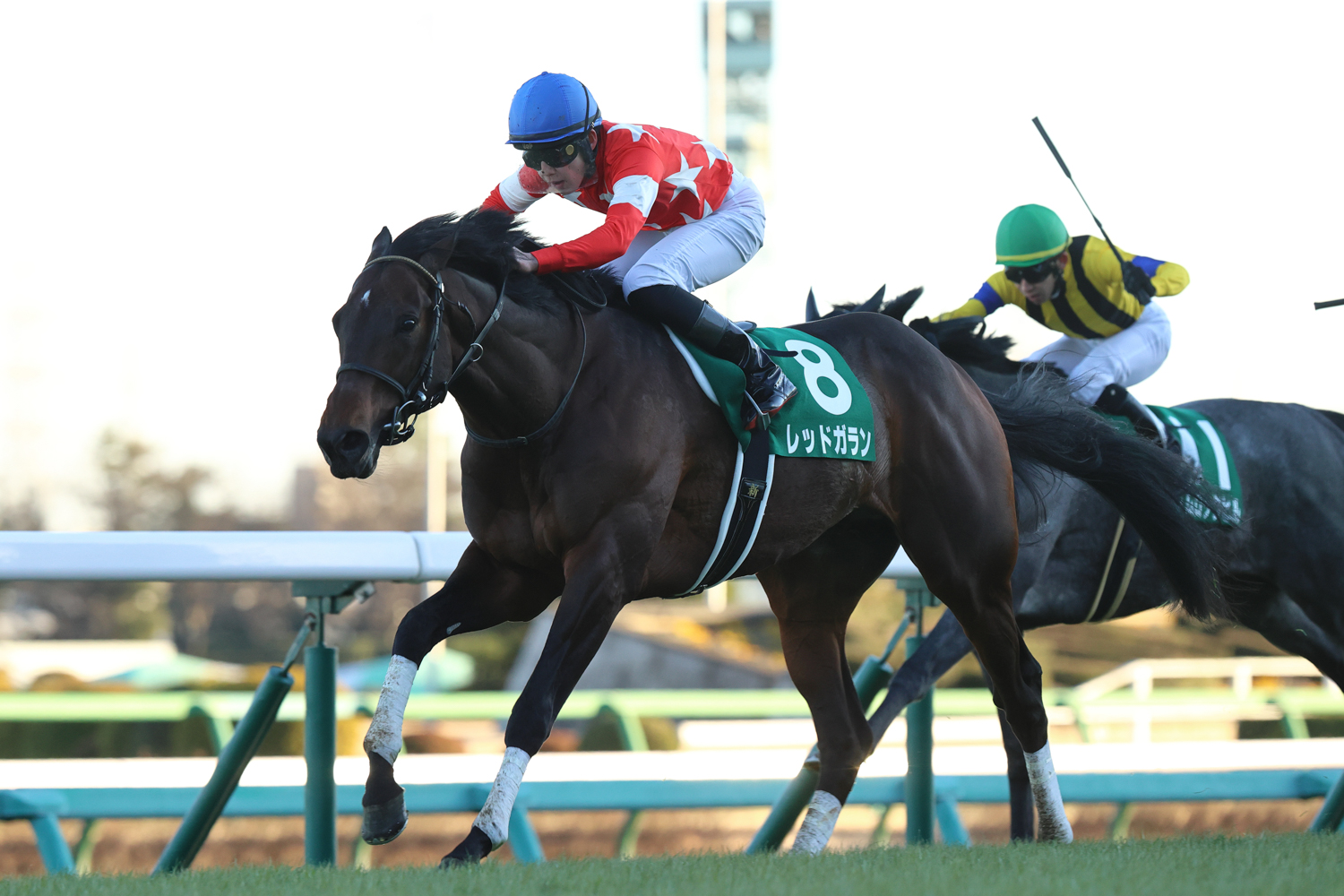 レッドガランが6番手から差し切り、4回目の重賞挑戦で初制覇を成し遂げた