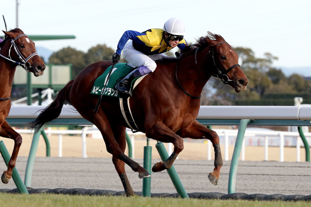 全兄は阪神大賞典など重賞３勝を挙げているユーキャンスマイル。今後さらなる活躍が期待される