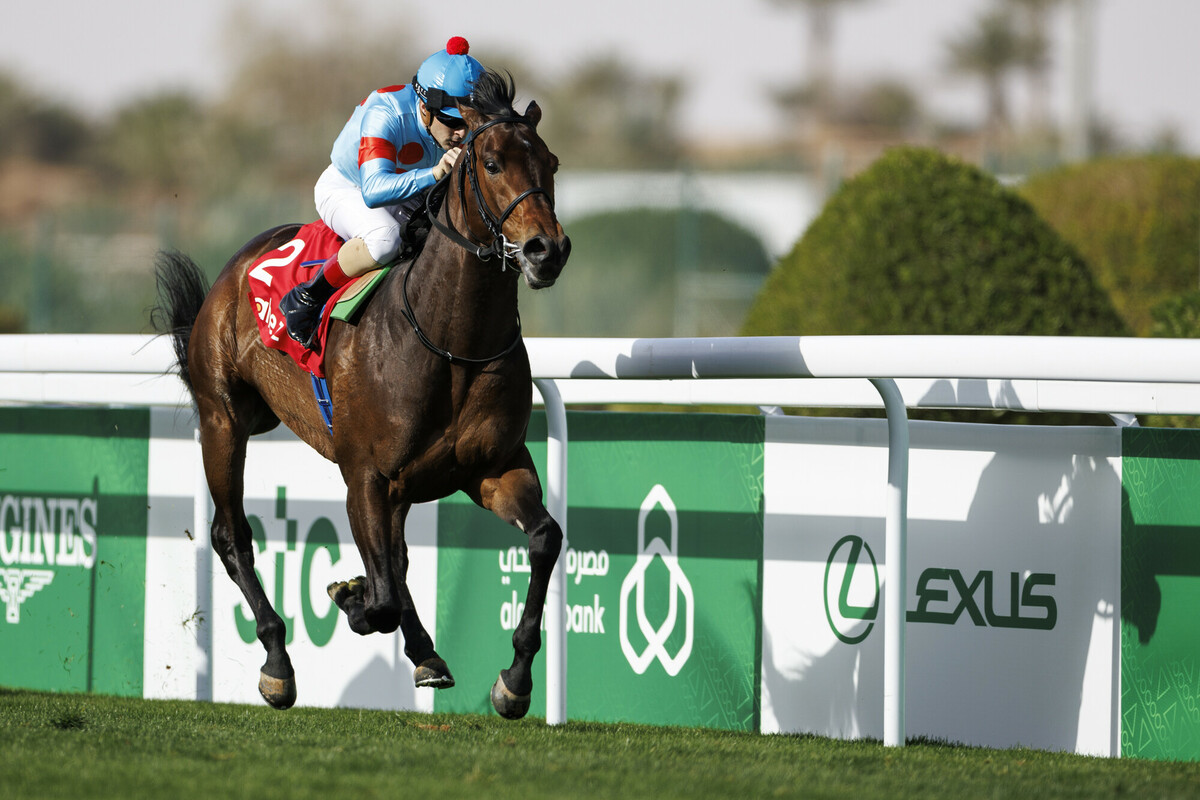 ネオムターフＣ(Ｇ３)を制したオーソリティ(©Jockey Club of Saudi Arabia / Douglas DeFelice)