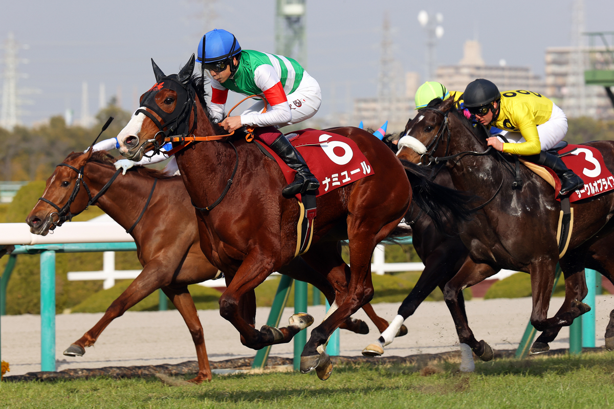 最優秀2歳牝馬サークルオブライフらを破り、阪神ジュベナイルフィリーズの雪辱を果たしたナミュール