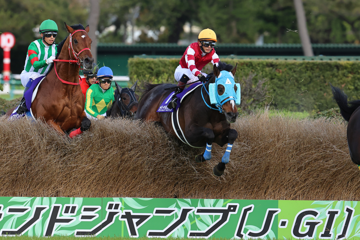 オジュウチョウサンの馬体重は中山グランドジャンプ６勝のうち５勝が510㎏。抜群の調整能力の持ち主だ