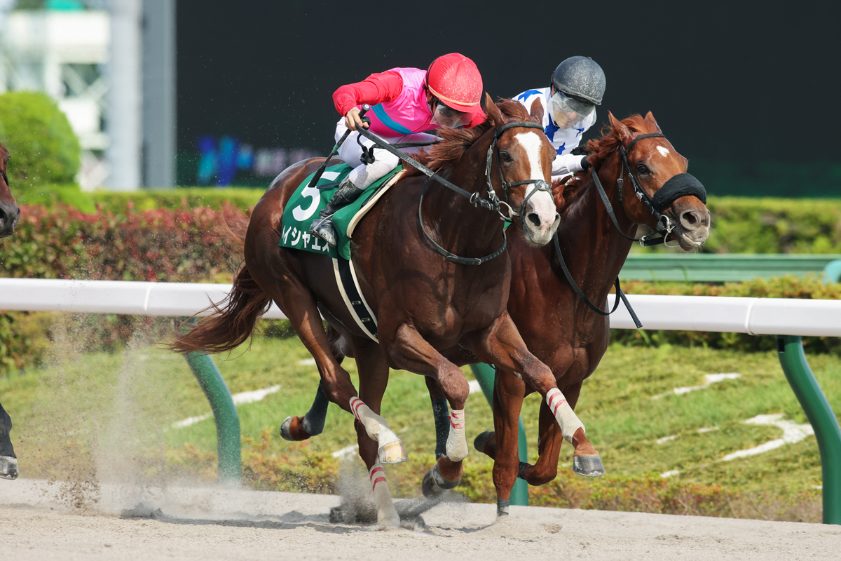 【エスポワールシチー】重賞馬券６枚セット(G1的中馬券含む／現地的中) エスポワールシチー | GANREF
