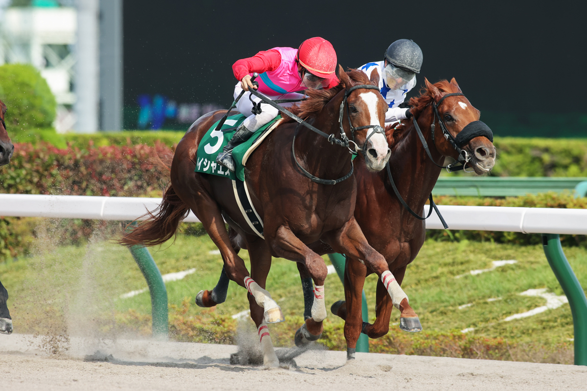 最内から追い込んだサウジダービー(G３)２着馬セキフウをクビ差抑えて、重賞初挑戦初制覇を果たしたペイシャエス