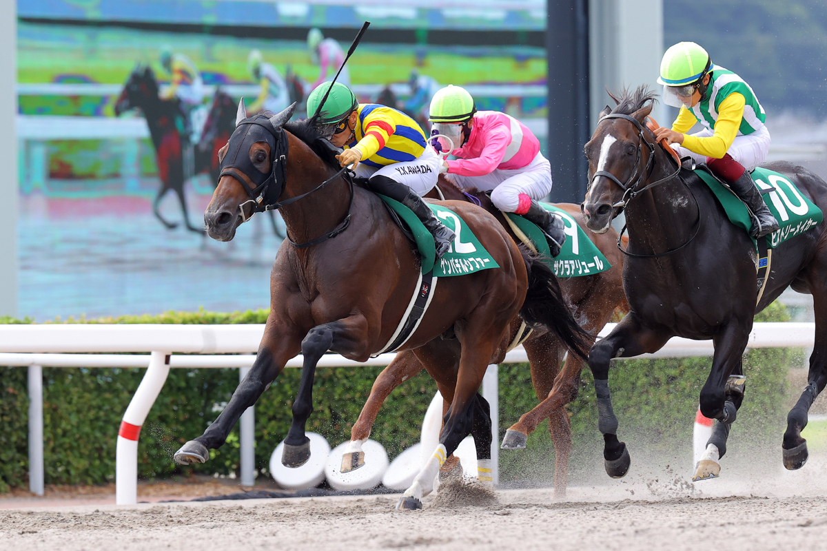 ヒストリーメイカーの追撃を半馬身振り切ったゲンパチルシファー。平野武志氏は８回目の出走でＪＲＡ重賞初勝利