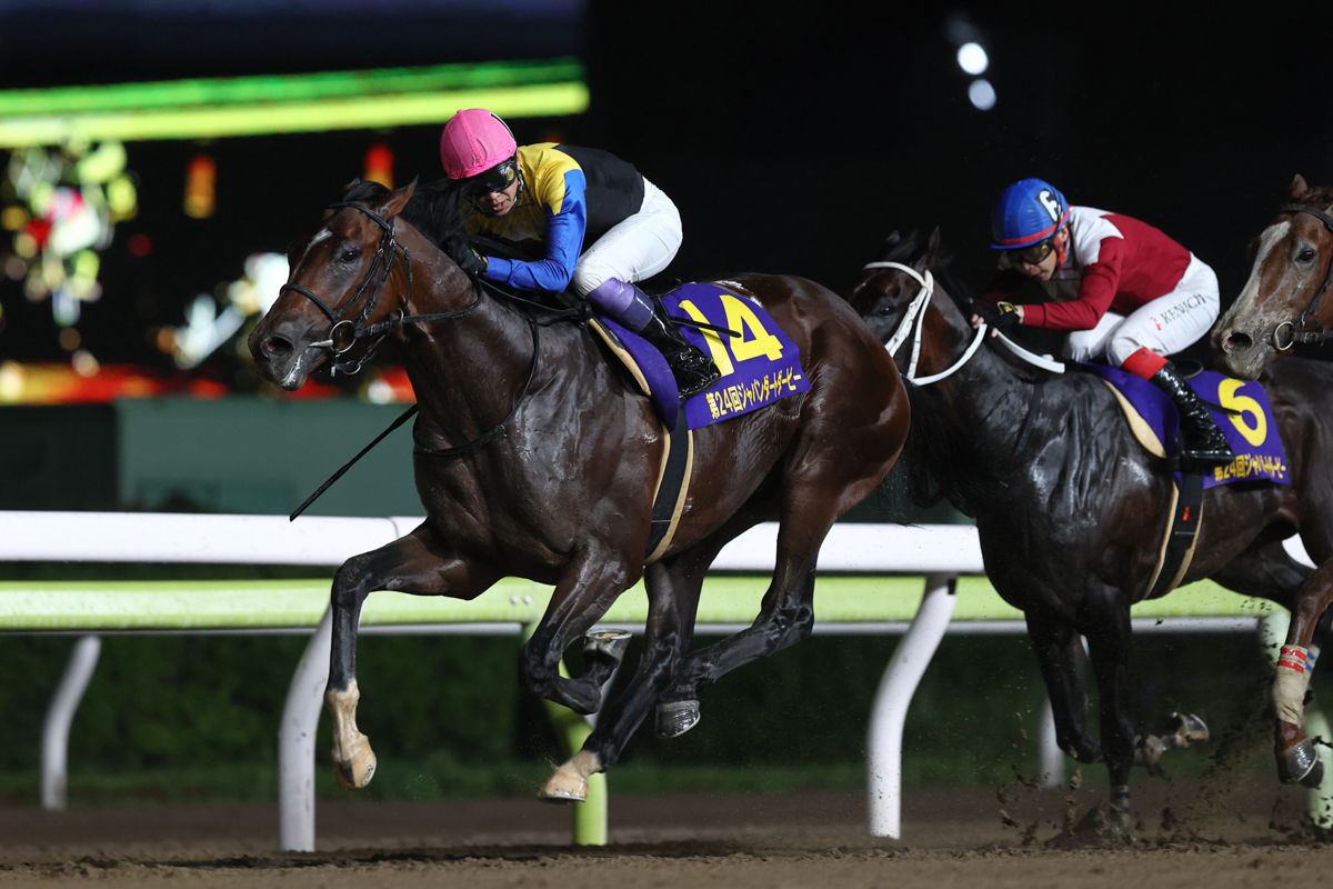 金子真人ホールディングス(株)は、本レースは2005年(カネヒキリ)以来2回目の勝利。 武豊騎手は歴代最多の4勝目、音無秀孝調教師も歴代最多の3勝目
