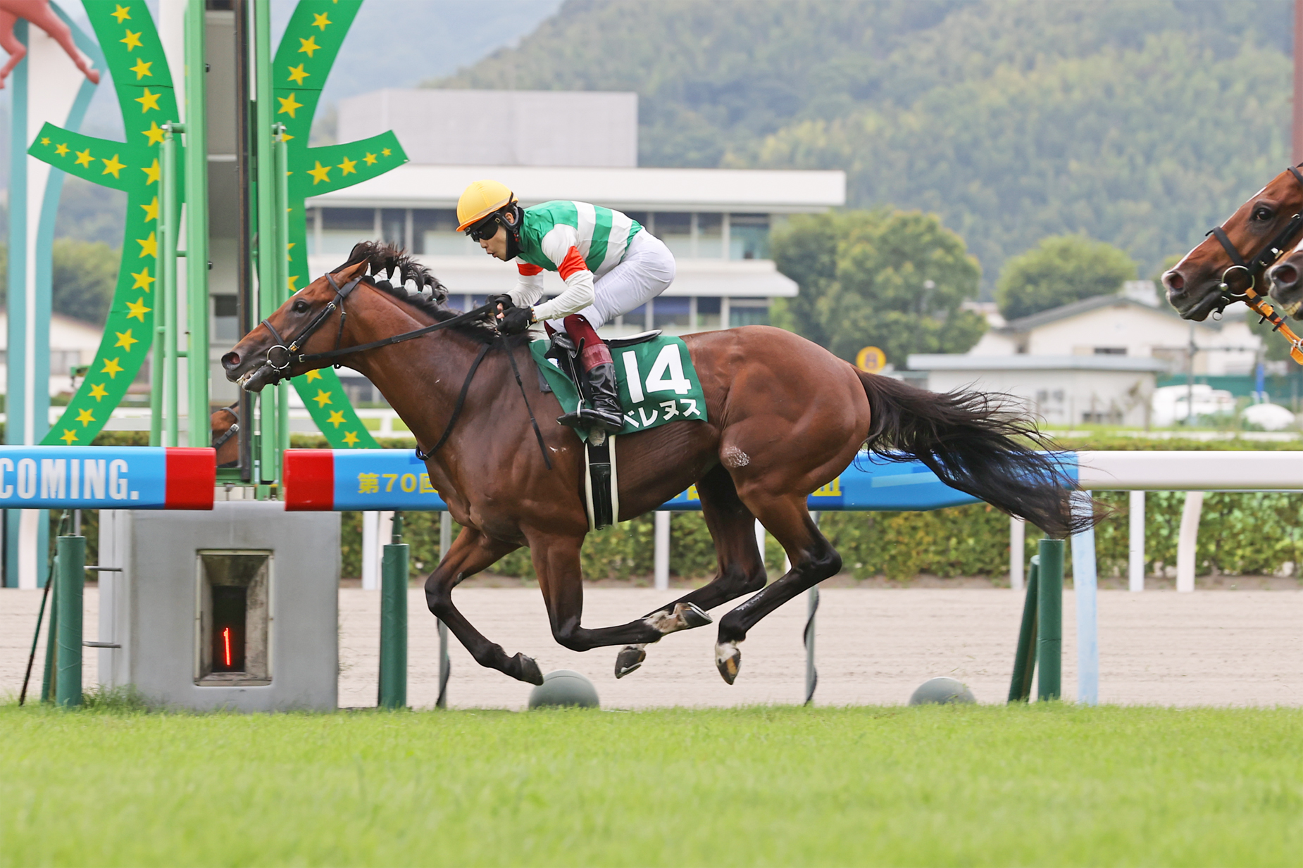 昨年に続き小倉競馬場で行われた中京記念で、ベレヌスが見事な逃げ切り勝ち