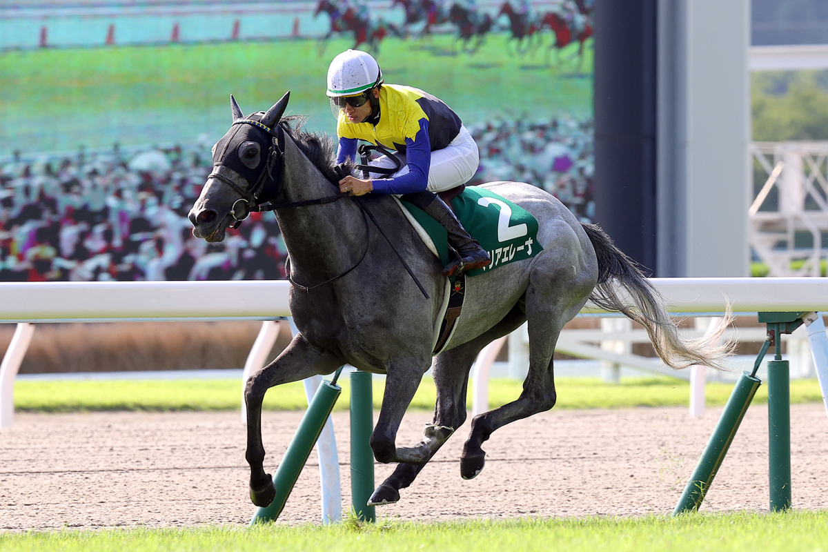 前半は４番手の内でじっとがまん。４コーナーで早めに仕掛けると、あっという間に後続に５馬身の差をつけた