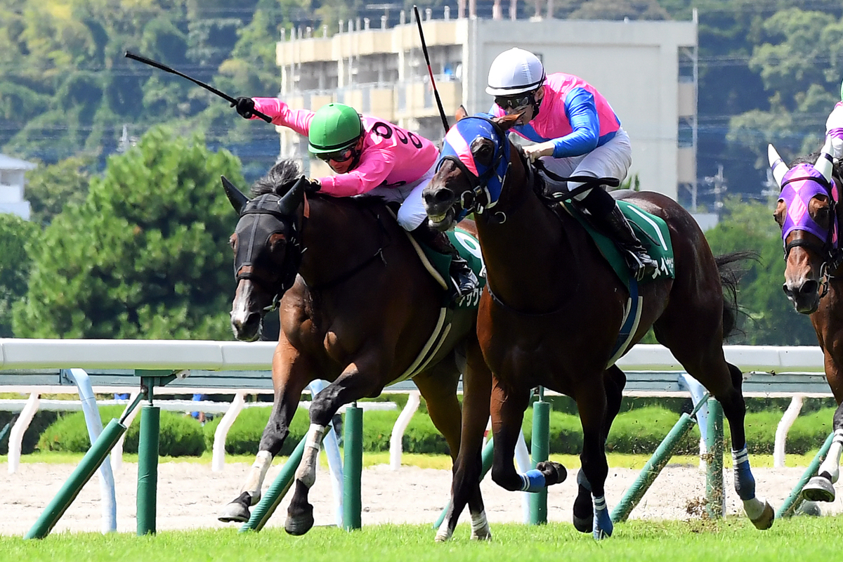 ４番手から内を狙ってクビ差抜け出したアサクサゲンキ。小倉コースは障害５戦４勝・平地４戦２勝と抜群の成績だ