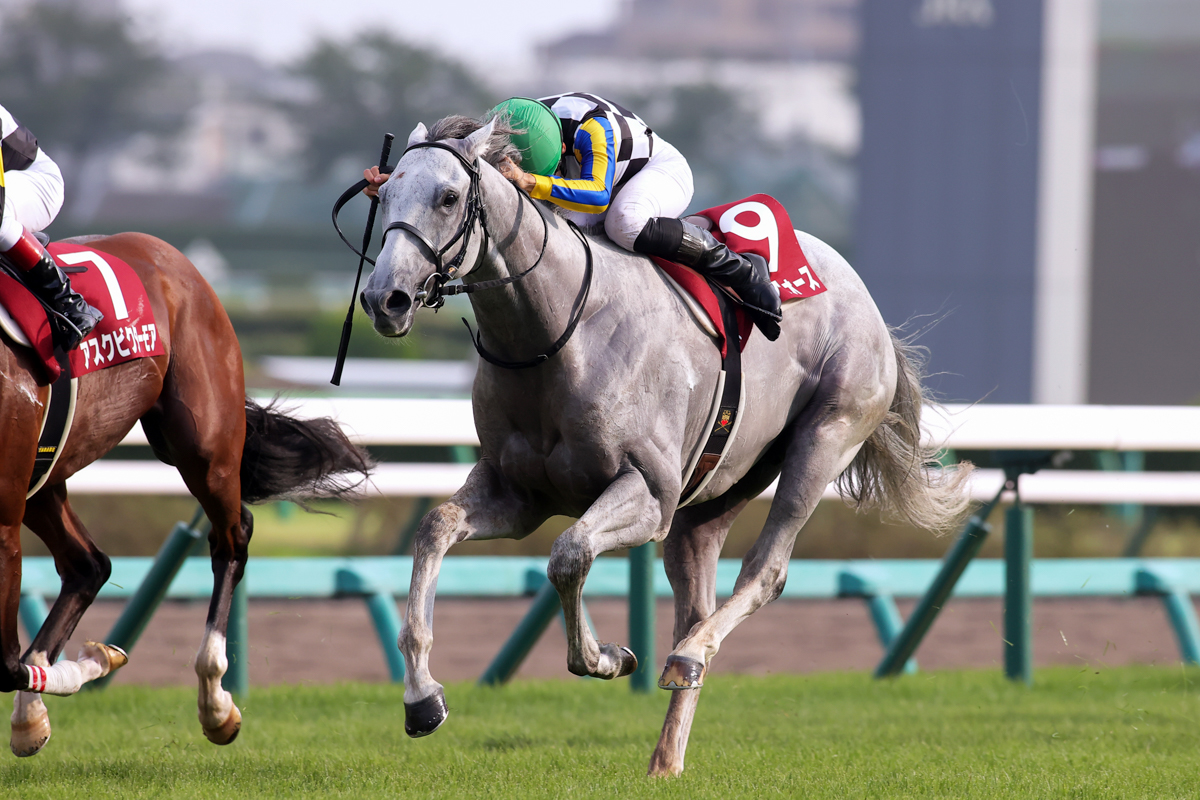 日本ダービー３着馬アスクビクターモアにアタマ差競り勝ち、菊花賞の有力候補に躍り出たガイアフォース