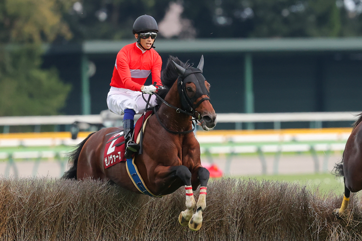 重賞連勝中のホッコーメヴィウス(２着)、Ｊ・ＧⅠ９勝馬オジュウチョウサン(９着)を破って、重賞初制覇