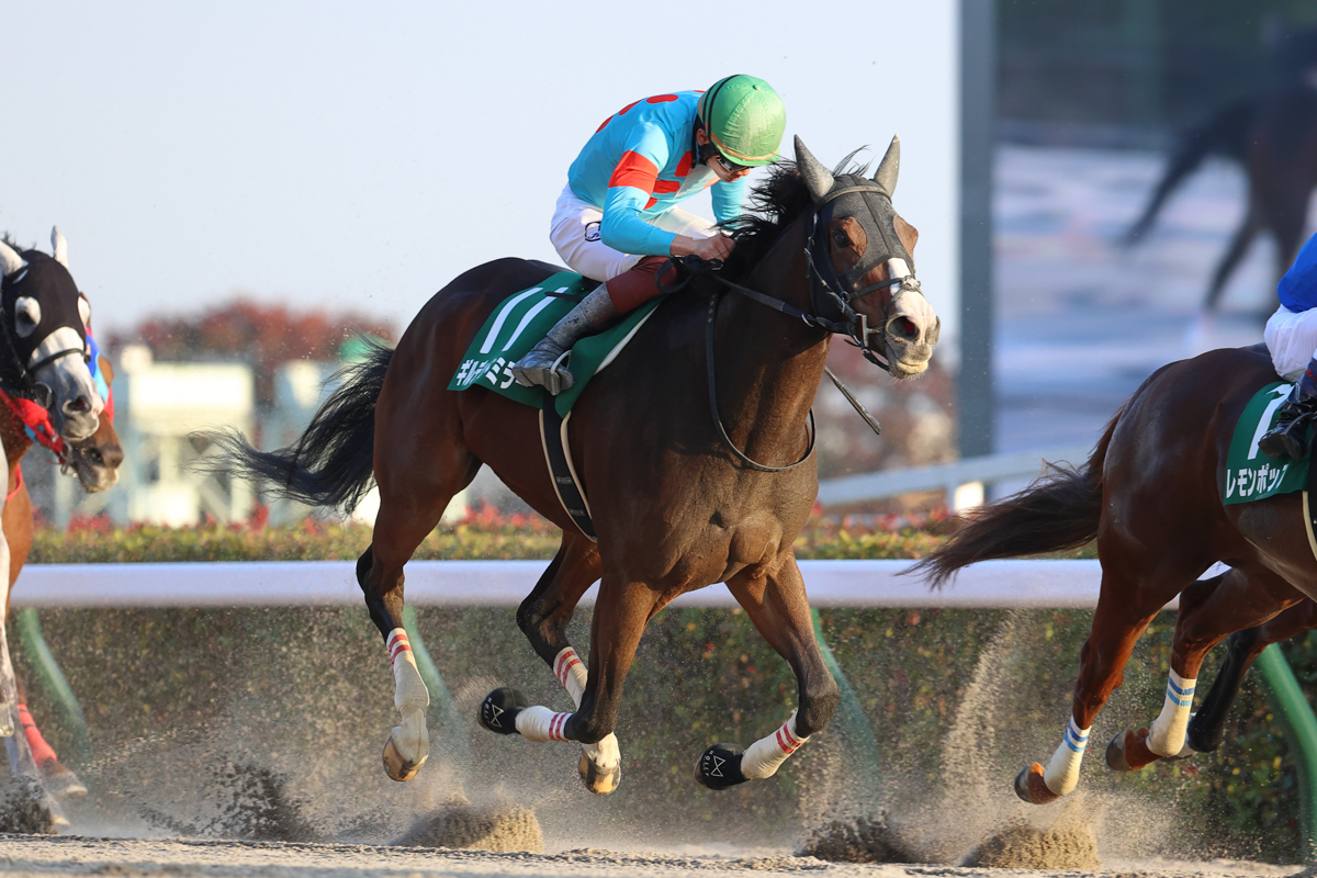 芝の重賞では２着２回３着２回とタイトルに届かなかったが、ダート路線変更が功を奏し重賞ウイナーの仲間入り