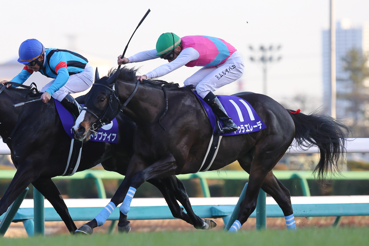 2番手を進んだドゥラエレーデが、逃げた京都2歳S2着馬トップナイフをゴール直前ハナ差差し切った