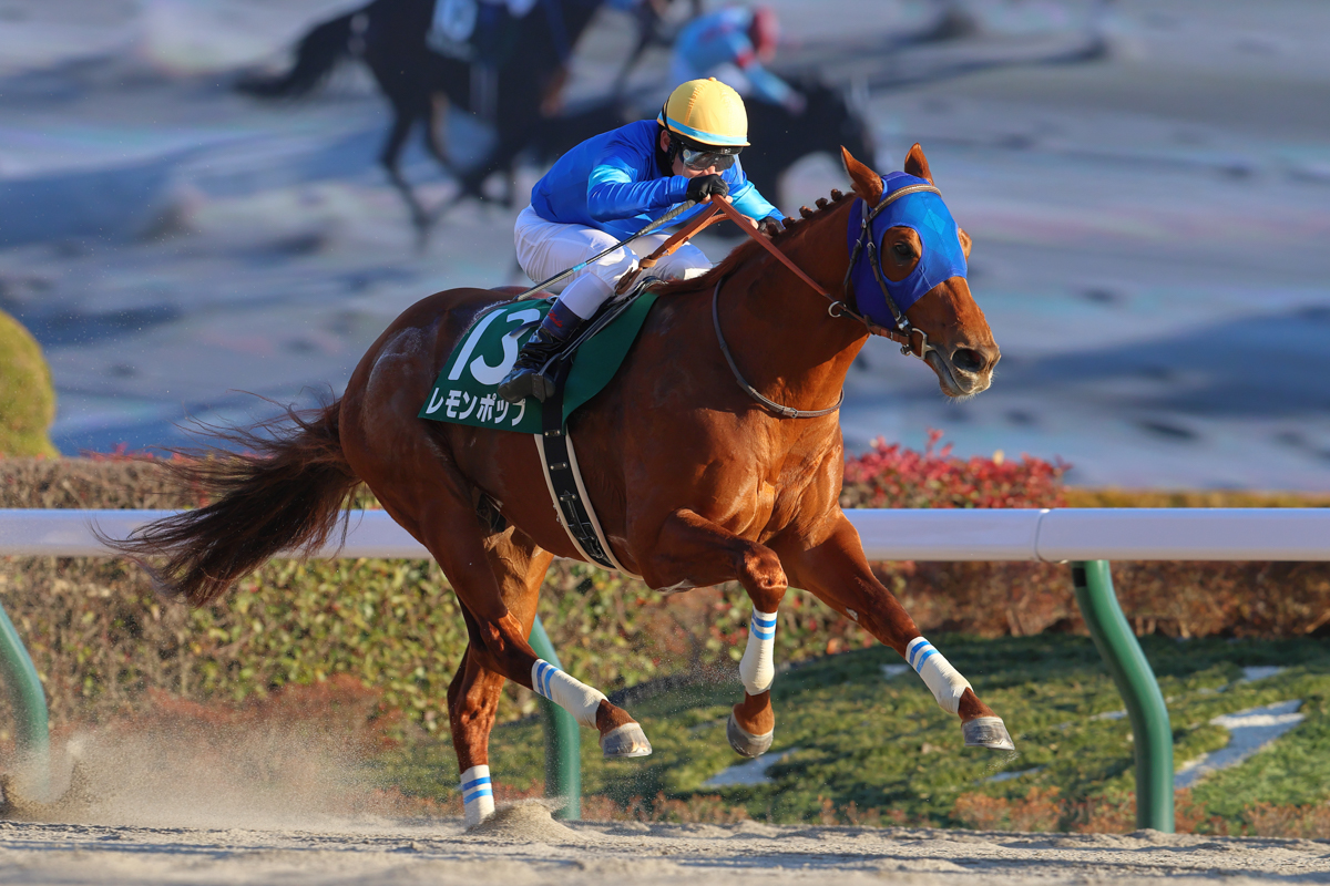 「東京ダート1400ｍ」は無傷の５連勝。1600ｍの武蔵野Ｓでハナ差敗れたギルデッドミラーに、半馬身の差をつけた