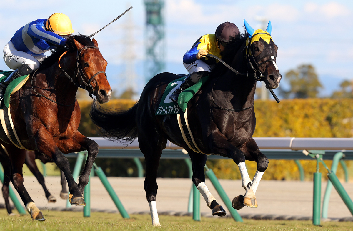 姉は日英GⅠ馬ディアドラ。良血馬フリームファクシがオープンファイアの追撃をアタマ差振り切った