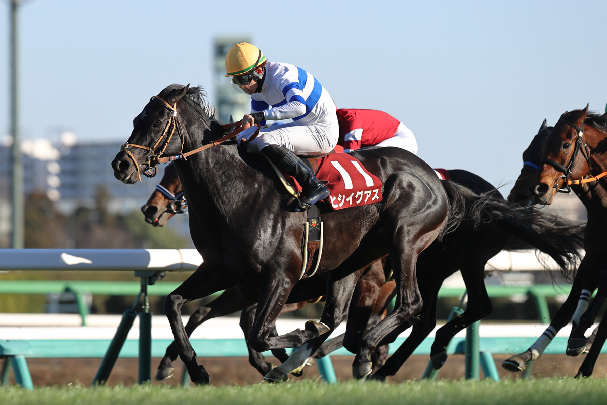 前年後半は熱中症の影響でレースに出られなかったが、悲願のGⅠ獲得へ向け今季初戦を白星で飾った