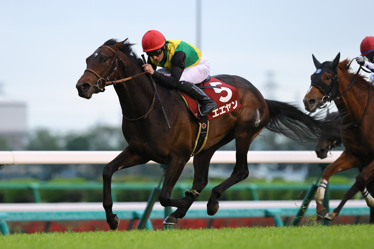 逃げたJRA賞最優秀2歳牡馬ドルチェモアは7着。エエヤンが中山芝1600mの「未勝利-1勝クラス-重賞」を3連勝