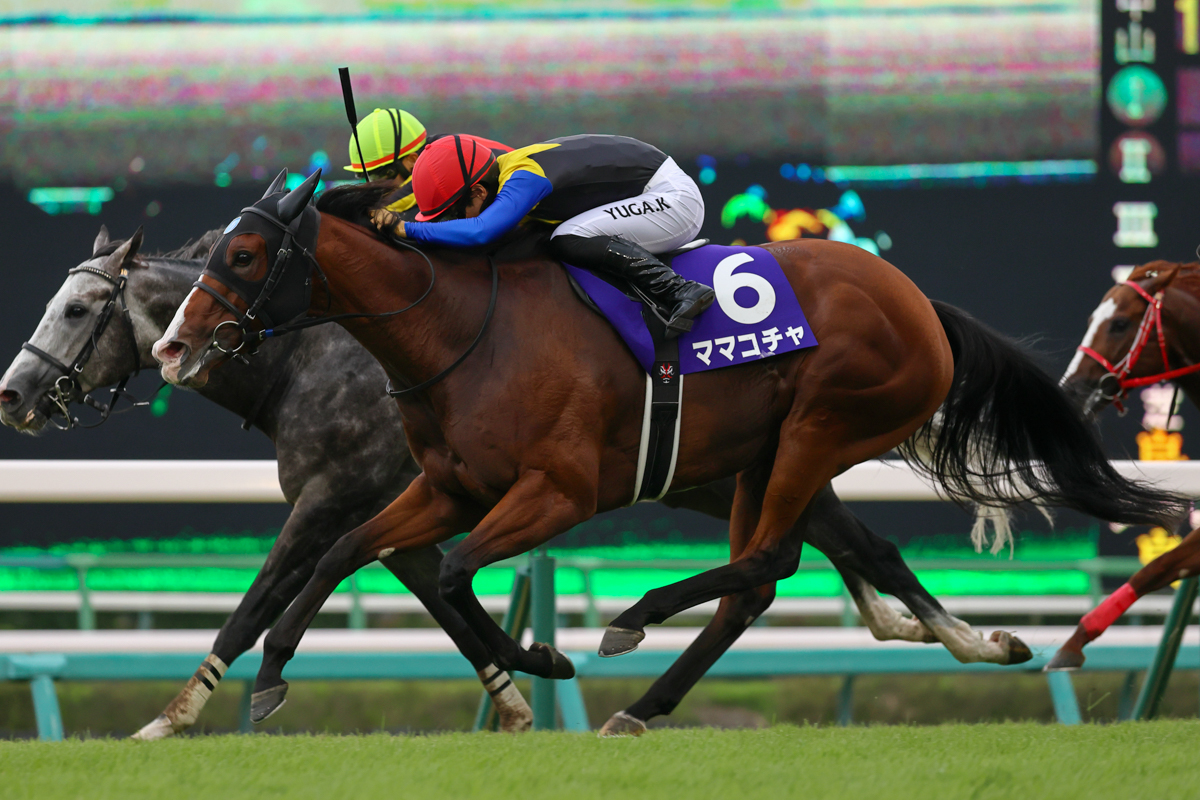 前走、初の1200m(北九州記念)で2着と好走。初挑戦のGⅠでも流れに乗って、マッドクールの強襲をハナ差抑えた