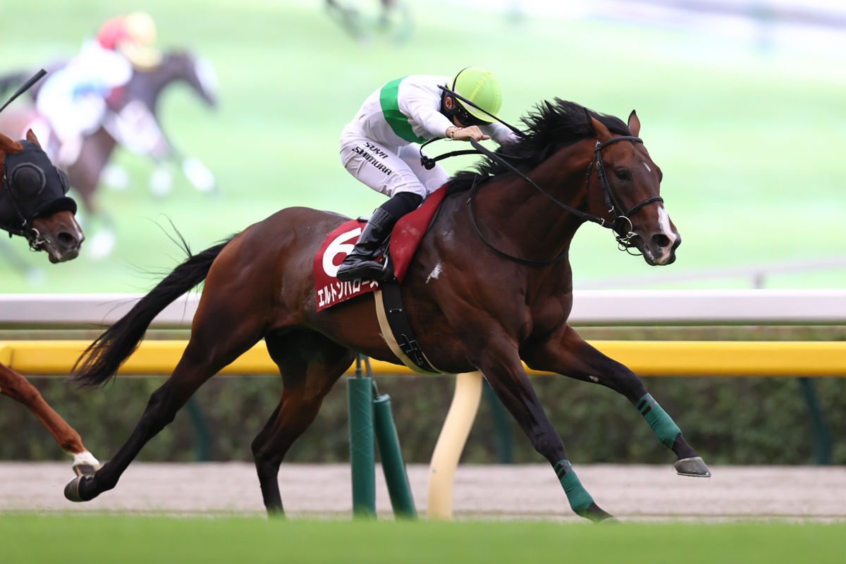 着実に力を付けてきたエルトンバローズ。未勝利、1勝クラス、ラジオNIKKEI賞に続き連勝を「4」に伸ばした