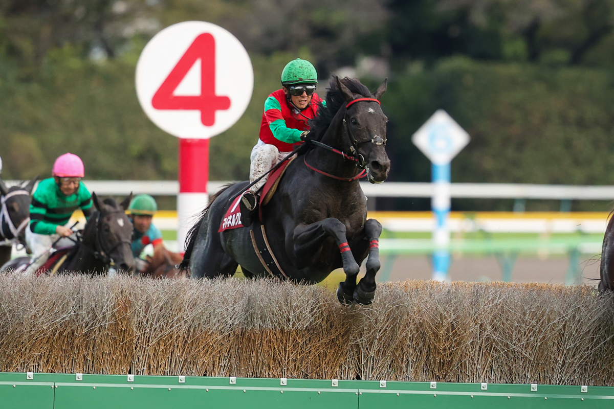 ニシノデイジー、イロゴトシ、ジューンベロシティら重賞勝ち馬5頭を抑えて、マイネルグロンが2馬身半差の快勝