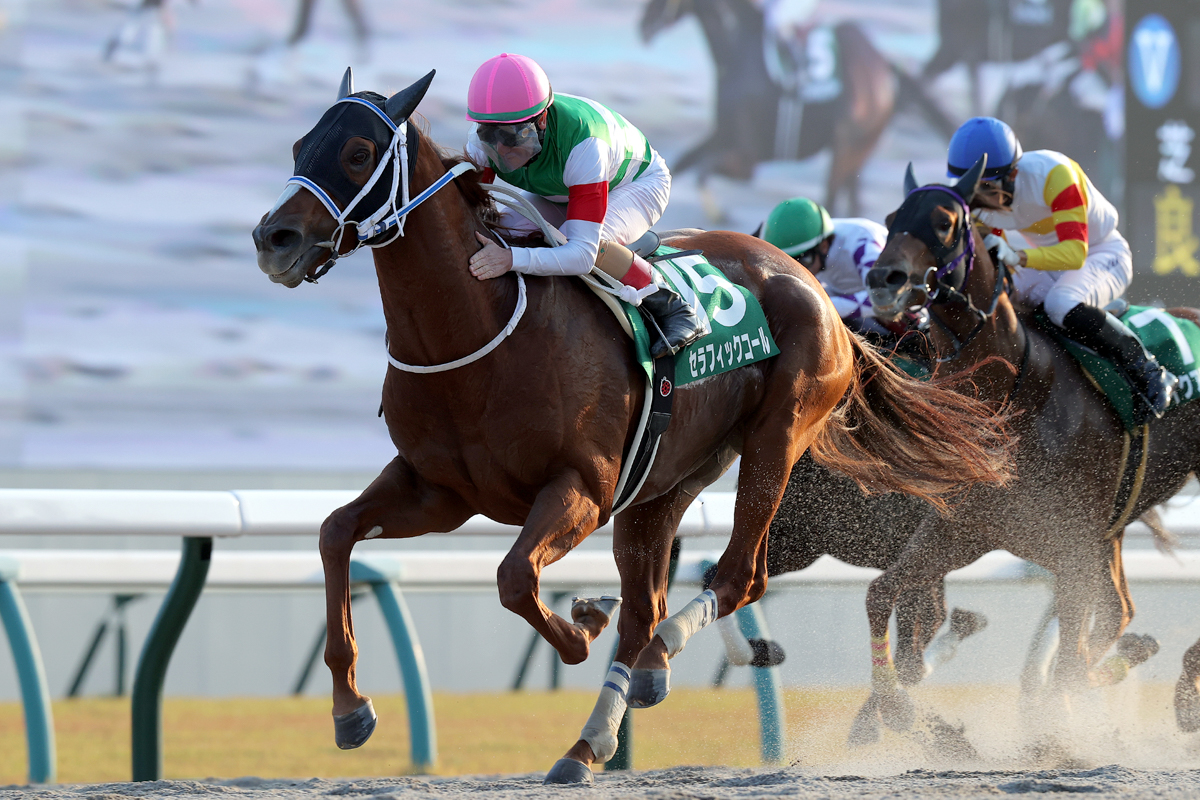 通算成績５戦５勝。無敗でのＪＲＡ古馬重賞制覇はグレード制を導入した1984年以降史上６頭目