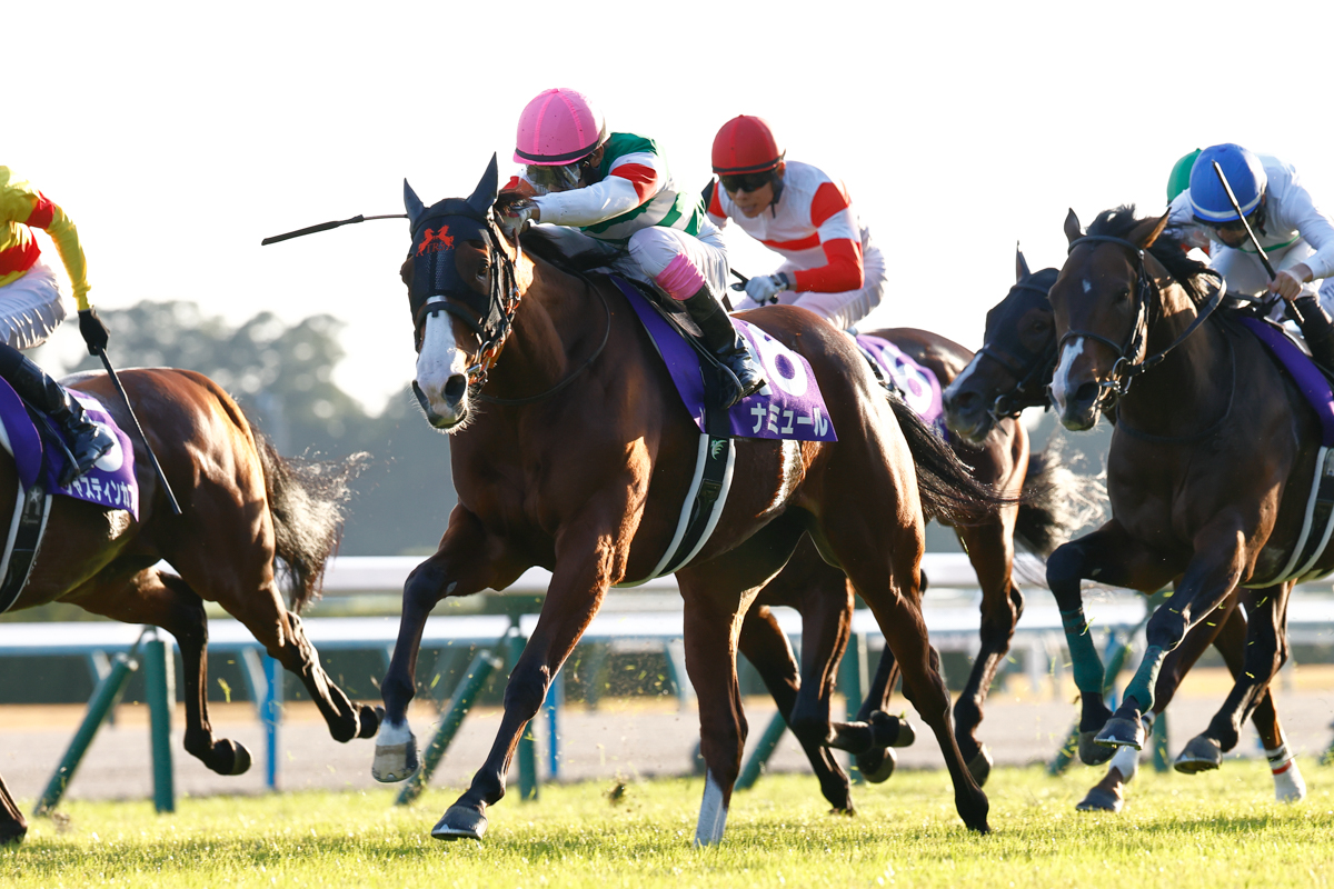 唯一の牝馬ナミュールが上り3ハロン最速33秒0の末脚を披露。馬群を割って鋭く追い込んだ