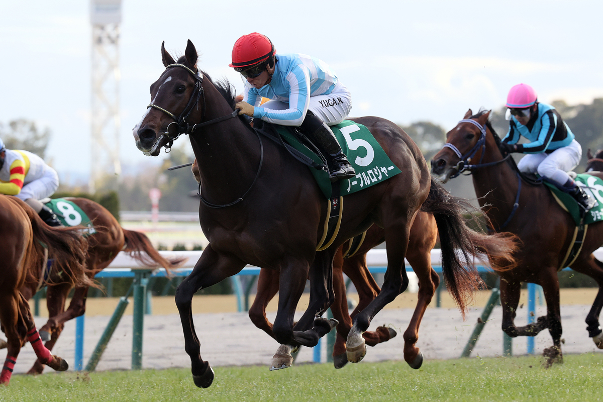 朝日杯ＦＳ勝ち馬ジャンタルマンタルと同じPalace Malice産駒。キャリア２戦でクラシック有力候補に躍り出た