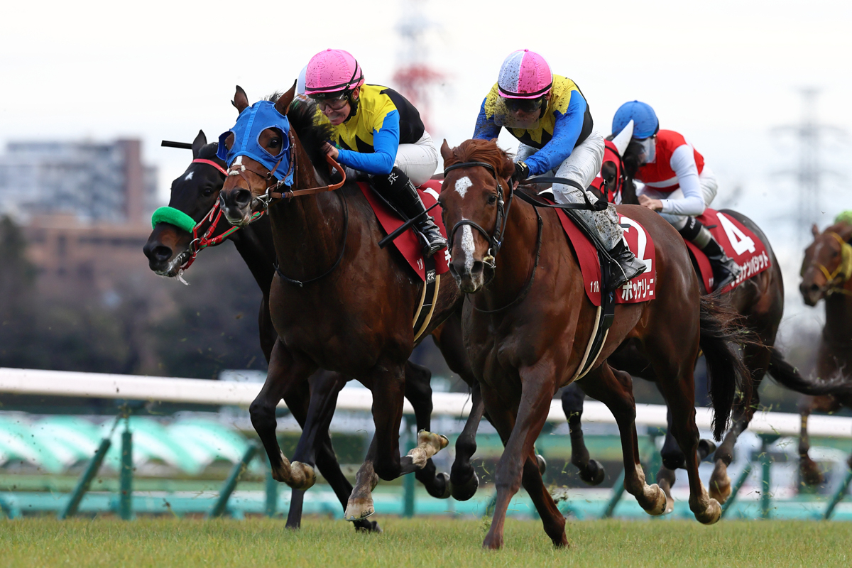 金子真人ホールディングス(株)はJRA重賞通算113勝目。1998年から27年連続勝利となった(金子真人氏名義を含む)
