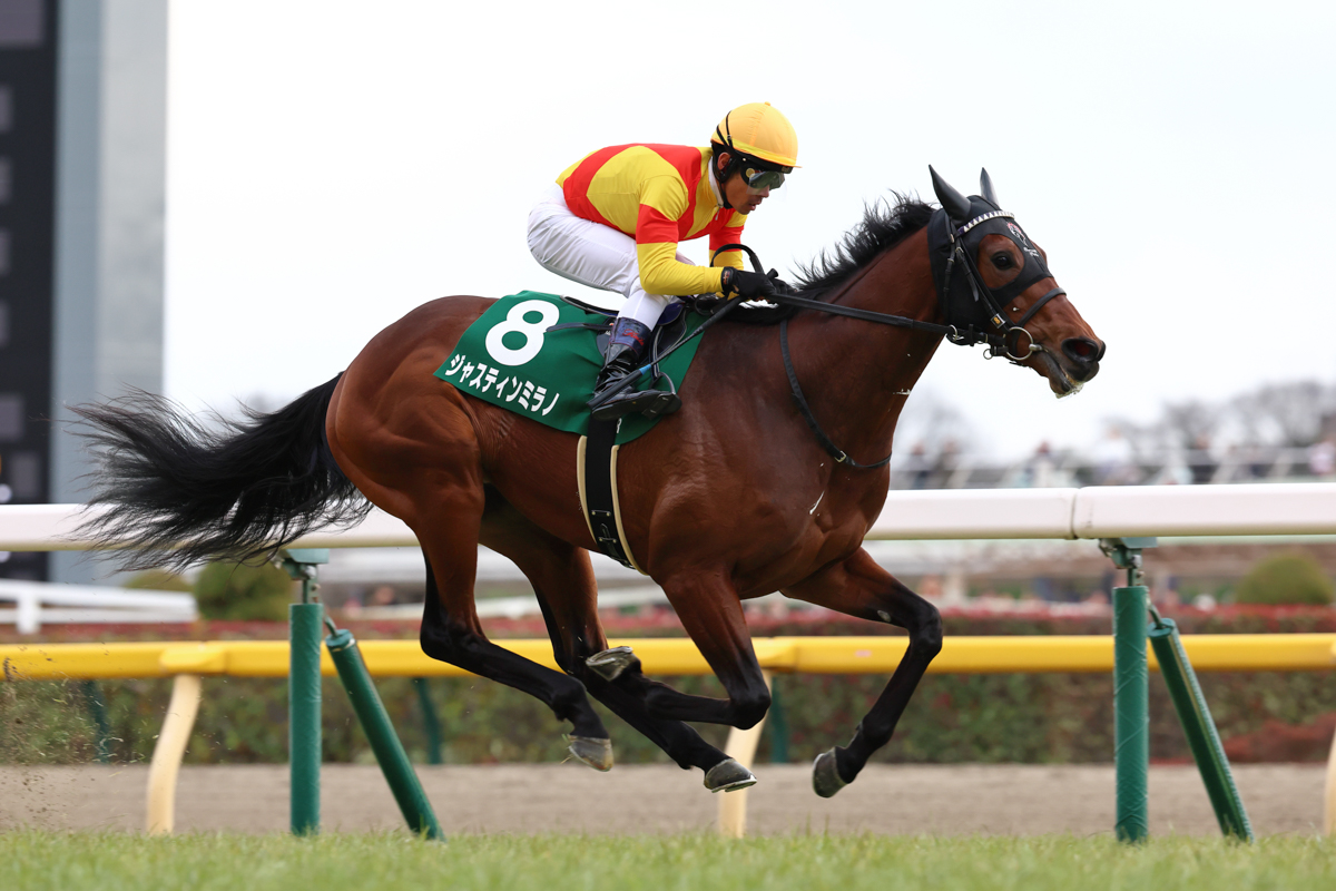 母はナンソープS勝ち馬マーゴットディド、姉はベルモントオークス勝ち馬マジックアティテュードという良血馬