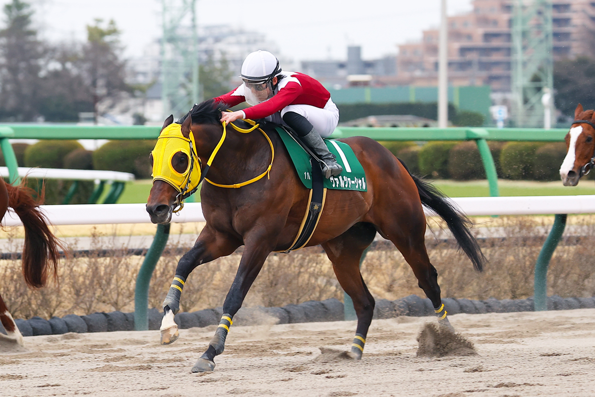 残り250ｍから加速して、逃げ粘るミトノオーを並ぶ間もなく差し切ったヴァルツァーシャル