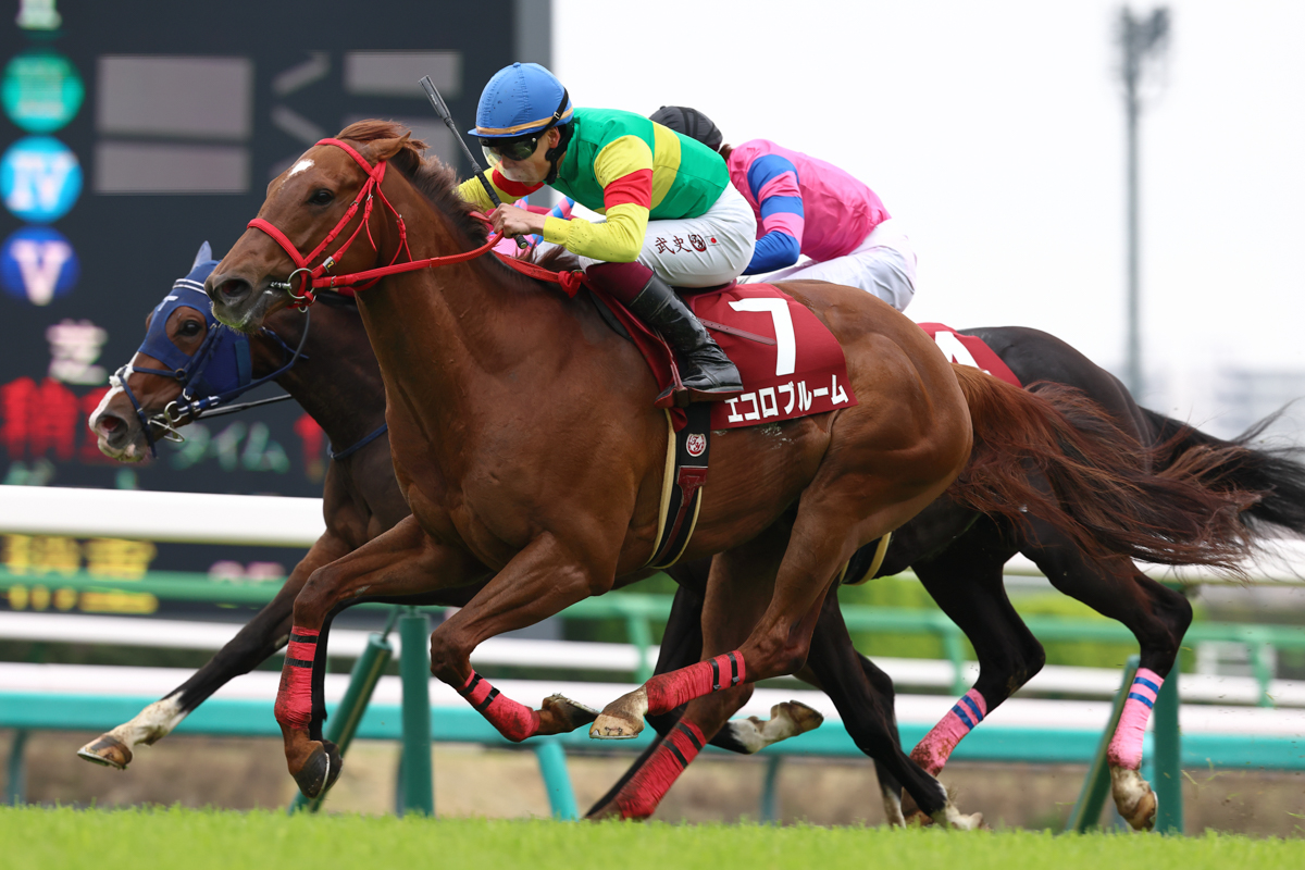 母は米G3勝ち馬、兄はきさらぎ賞勝ち馬ラーゴム。瞬発力に磨きをかけて重賞ウイナーの仲間入り